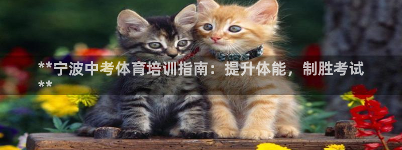 耀世官网注册：**宁波中考体育培训指南：提升体能，制