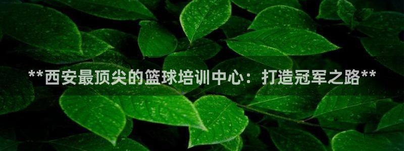 耀世娱乐平台注册地址：**西安最顶尖的篮球培训中心：打造冠军