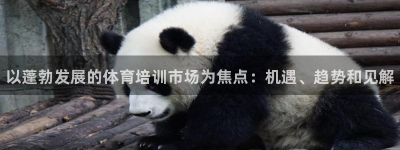 耀世娱乐是个什么平台：以蓬勃发展的体育培训市场为焦点：机遇、