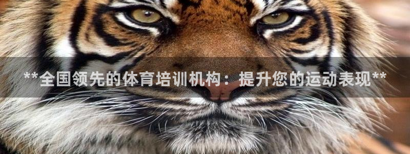 耀世集团公益：**全国领先的体育培训机构：提升您的运动表现*