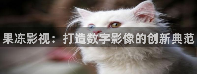熊猫电影yy8y3全部免费观看：果冻影视：打造数字影像的创新典范