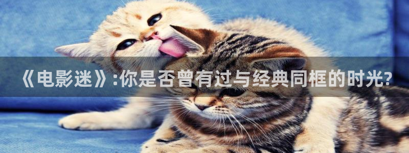 熊猫熊猫熊猫熊猫熊猫：《电影迷》:你是否曾有过与经典同框的时光?