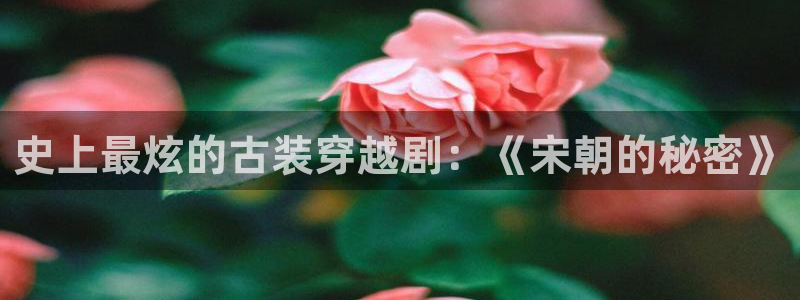 熊猫的电视的价格：史上最炫的古装穿越剧：《宋朝的秘密》
