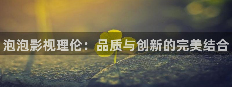 熊猫影院高清在线观看：泡泡影视理伦：品质与创新的完美结合