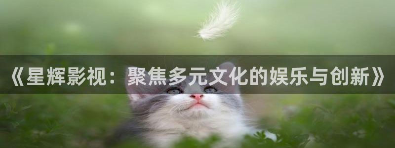 熊猫影片：《星辉影视：聚焦多元文化的娱乐与创新》