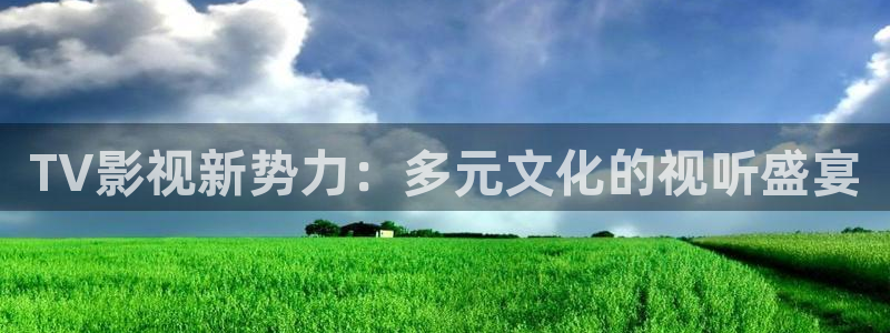 熊猫电视图片：TV影视新势力：多元文化的视听盛宴