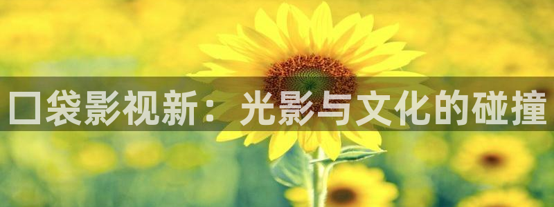 熊猫电视图片：囗袋影视新：光影与文化的碰撞