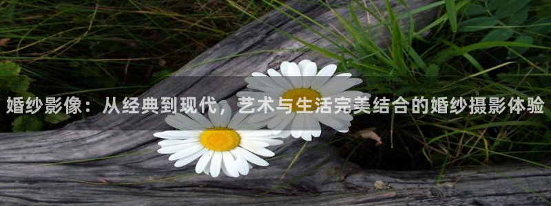 熊猫电影xm66免费观看：婚纱影像：从经典到现代，艺术与生活完美结合的婚纱摄影体验