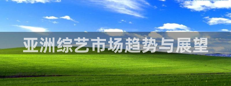 熊猫游戏：亚洲综艺市场趋势与展望