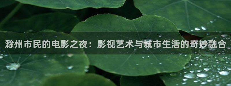 熊猫的价格：滁州市民的电影之夜：影视艺术与城市生活的奇妙融合