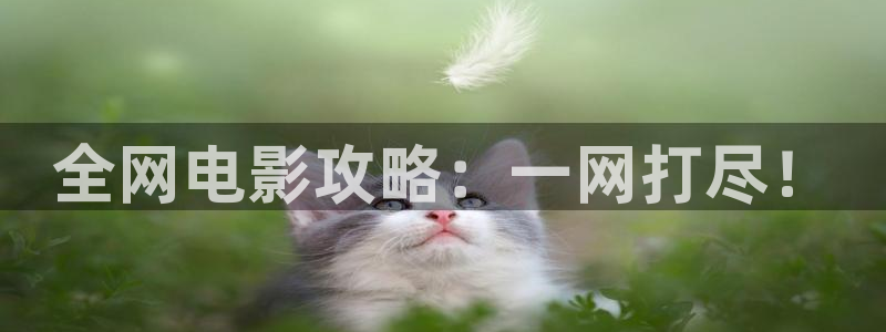 熊猫免费影视在线观看：全网电影攻略：一网打尽！