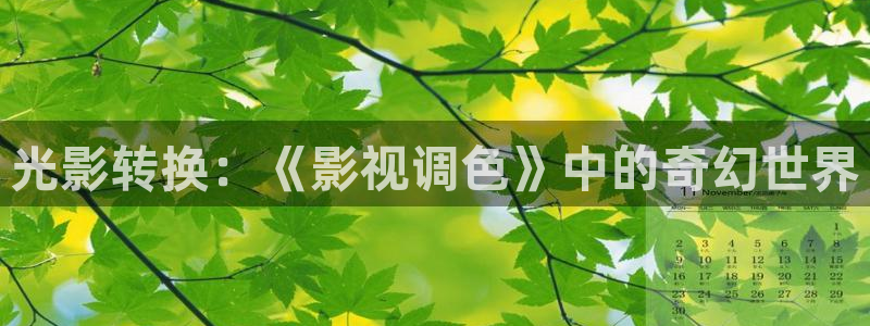 熊猫影院：光影转换：《影视调色》中的奇幻世界