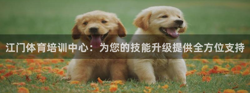 耀世娱乐能不能提现到微信：江门体育培训中心：为您的技