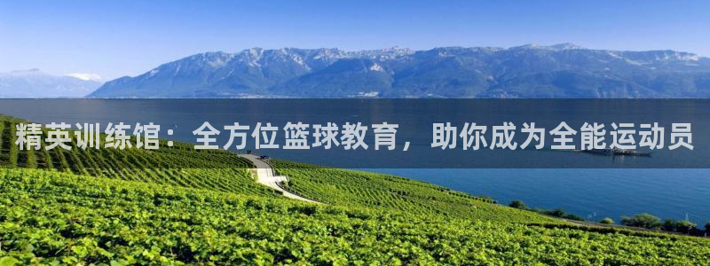 耀世团长：精英训练馆：全方位篮球教育，助你成为全能运动员