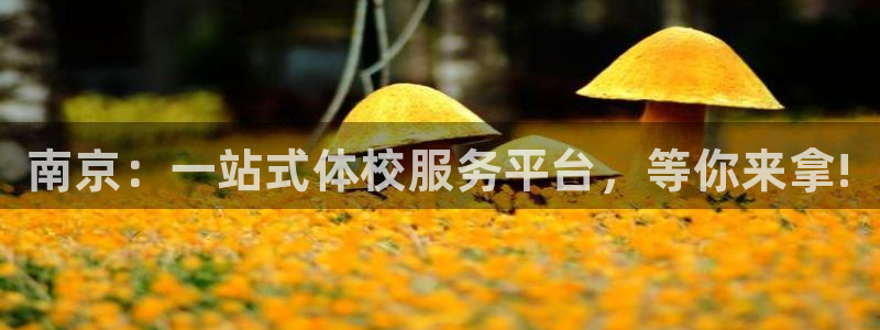 耀世娱乐几6.7.5.1.3.8：南京：一站式体校服