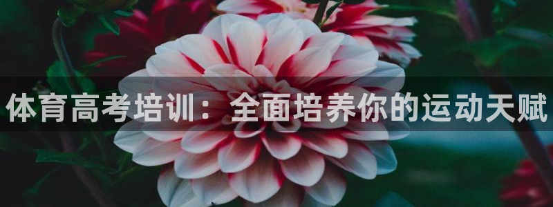 耀世娱乐圈主管：体育高考培训：全面培养你的运动天赋