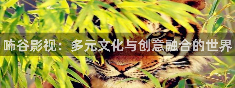 熊猫的电视的价格：咘谷影视：多元文化与创意融合的世界