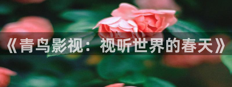熊猫的电影：《青鸟影视：视听世界的春天》