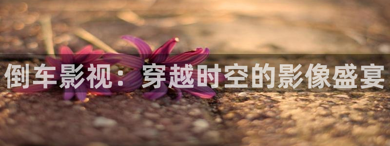 panda熊猫电视：倒车影视：穿越时空的影像盛宴