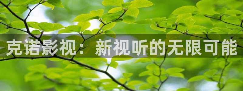 熊猫看：克诺影视：新视听的无限可能