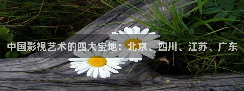 熊猫的视频：中国影视艺术的四大宝地：北京、四川、江苏、广东